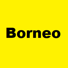 Borneo Premium Red/White/Green/Yellow/Yellow Dark