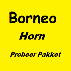Borneo Horn Trial Package