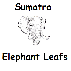 Sumatra Elephant Leafs
